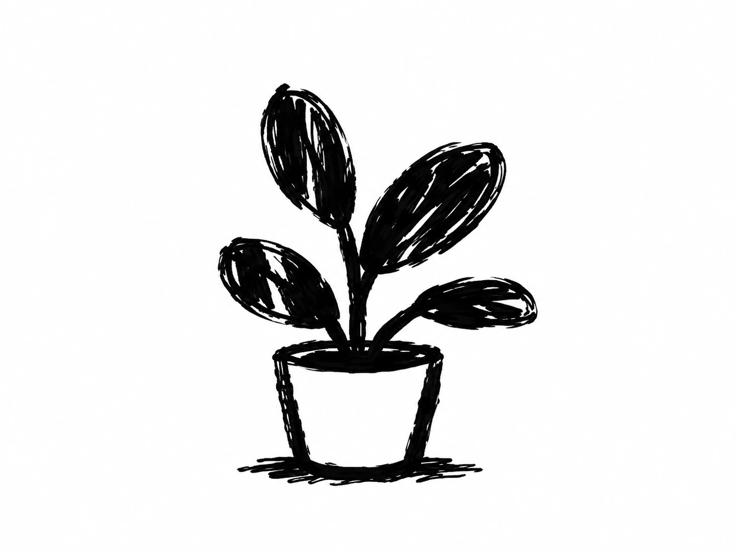 Hand-drawn potted plant with rounded leaves